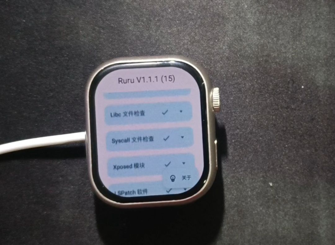 ruru_v1.1.1全部通过